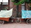 bangladesh warns of dengue surge as weather aids spread