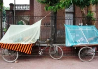 bangladesh warns of dengue surge as weather aids spread bangladesh warns of dengue surge as weather aids spread