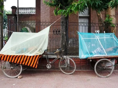 bangladesh warns of dengue surge as weather aids spread