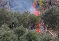 an israeli settler near a fire casts a projectile towards palestinians during an attack on palestinians olive harvest near ramallah in west bank photo reuters