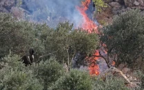 israeli settlers burn olive trees in west bank israeli settlers burn olive trees in west bank