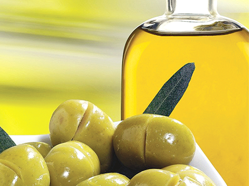 govt to promote olive cultivation