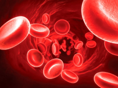 debilitating disease a million children suffer from thalassaemia in pakistan