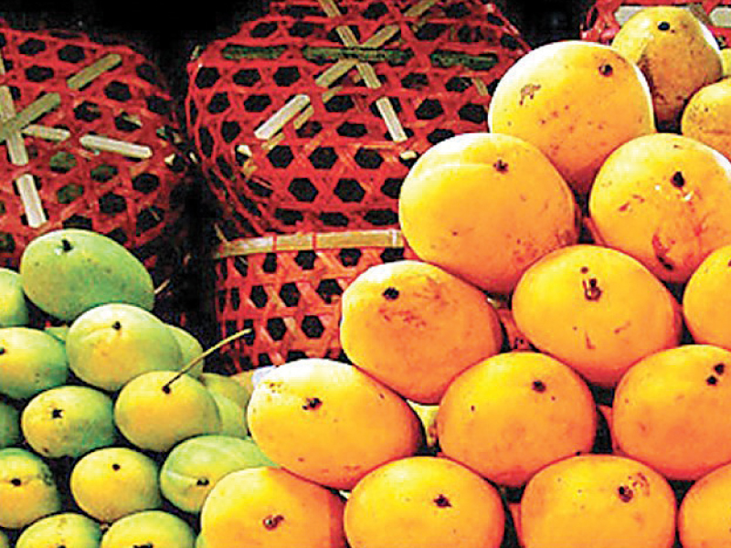 pfva is targeting to export 175 000 tons of mangoes this year the fruit will also be sent to new markets like japan south korea and mauritius photo file