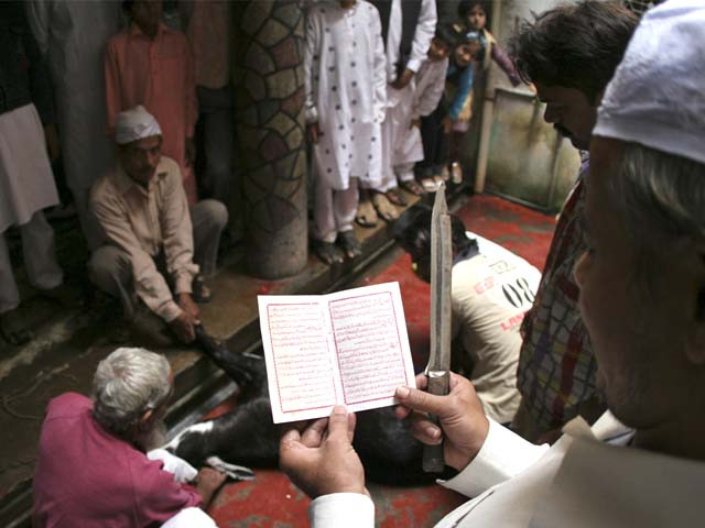 muslims offer prayers before sacrificing a goat on eidul azha in allahabad india december 9 2008 photo ap muslims offer prayers before sacrificing a goat on eidul azha in allahabad india december 9 2008 photo ap