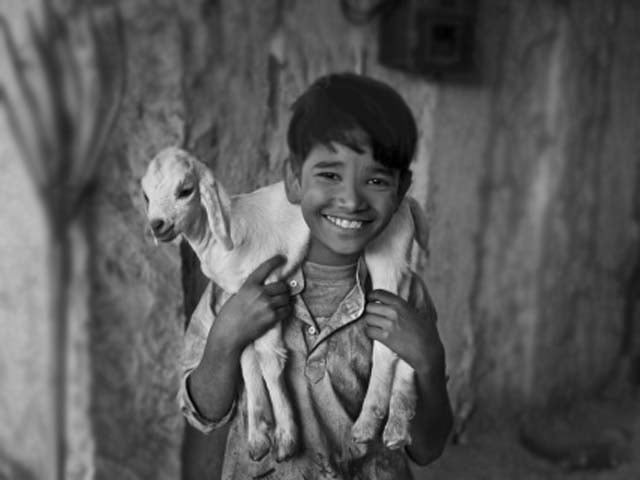 he would wake up early to feed it and spent every waking minute with the animal photo tumblr