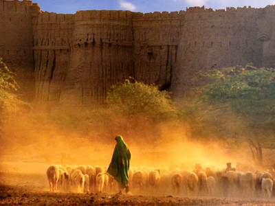 photography such exhibitions can teach the young a lot