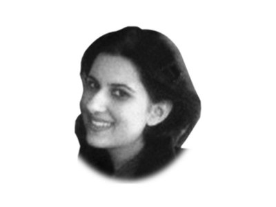 a lawyer the law could not save