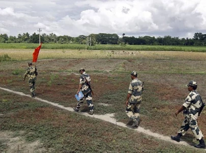 cattle fence sparks india bangladesh tension