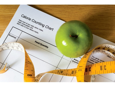 calories important for body expert calories important for body expert