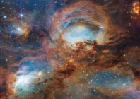celestial bodies a section of the cat s paw nebula a star forming region composed of gas dust and young stars in this image obtained by the james webb space telescope the cat s paw nebula is located approximately 4 000 light years away in the constellation scorpius photo reuters