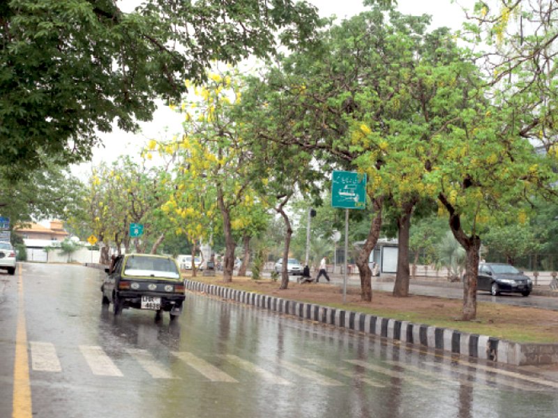 yellow trees line a road awash with rain in f 8 photo myra iqbal express