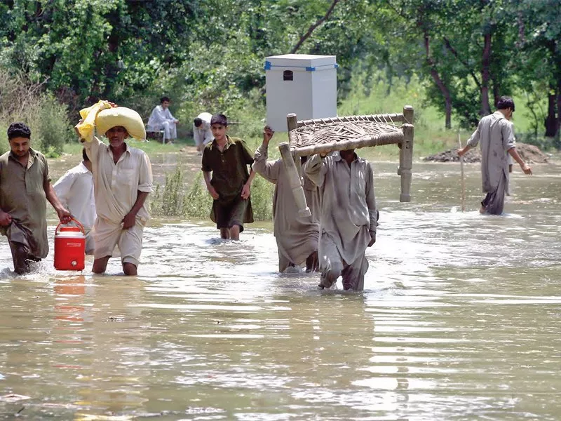 villagers of agra pyean carry their belongings to drier land after flood water entered their houses heavy rains added to the woes of charsadda residents and six people were admitted to district headquarters hospital after trees and electricity poles fell due to the intensity of the storm photo inp villagers of agra pyean carry their belongings to drier land after flood water entered their houses heavy rains added to the woes of charsadda residents and six people were admitted to district headquarters hospital after trees and electricity poles fell due to the intensity of the storm photo inp