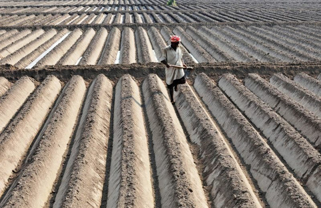 quot pakistan is more vulnerable to climate change than any other country of the region quot punjab agriculture minister dr farrukh javed photo afp file quot pakistan is more vulnerable to climate change than any other country of the region quot punjab agriculture minister dr farrukh javed photo afp file