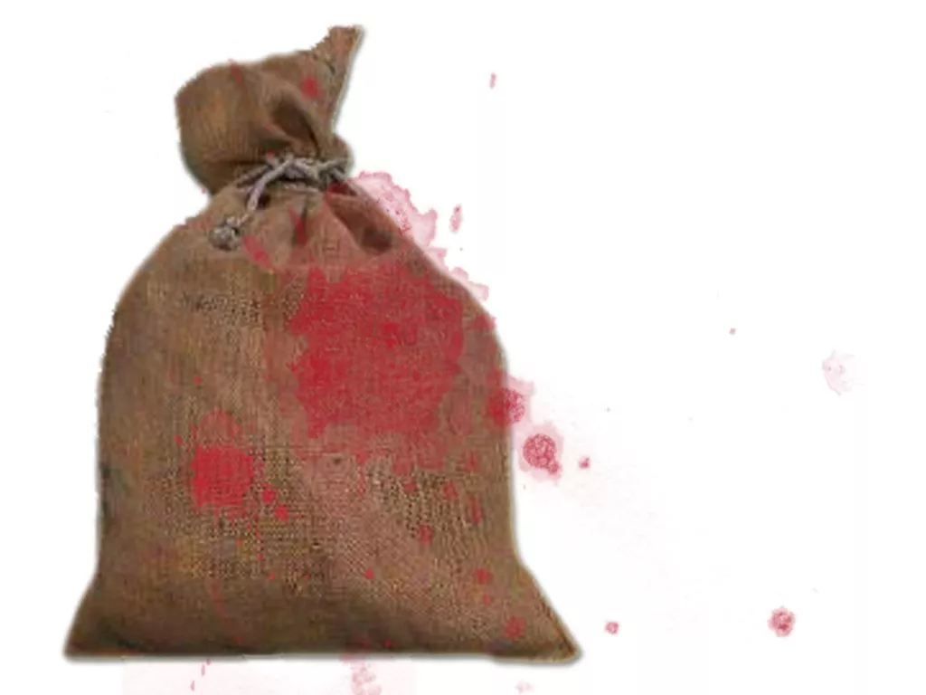 the bodies were put in gunny bags and were found from the bani gala area of the city photo file the bodies were put in gunny bags and were found from the bani gala area of the city photo file