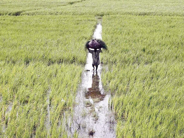 farmers offered dirt cheap rates for soil testing farmers offered dirt cheap rates for soil testing