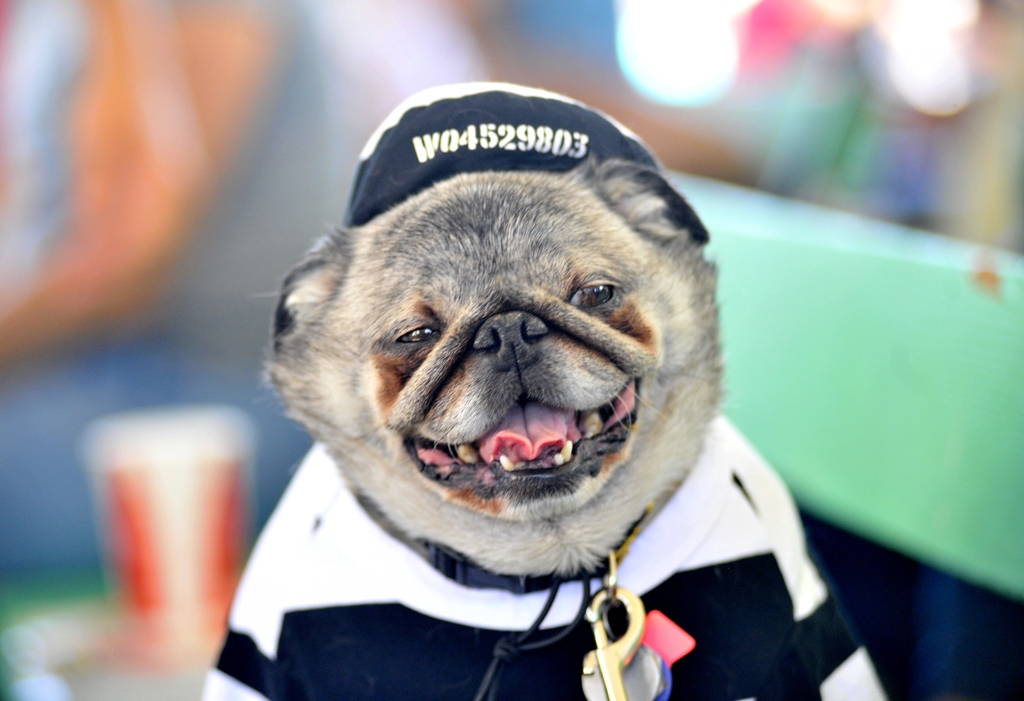 Updated Jun 22, 2013