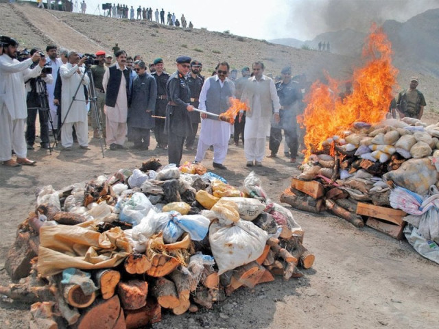 officials of the frontier corps and anti narcotics force set fire to bags full of drugs in bara khyber agency to mark international day against illicit trafficking and drug abuse photo inp officials of the frontier corps and anti narcotics force set fire to bags full of drugs in bara khyber agency to mark international day against illicit trafficking and drug abuse photo inp
