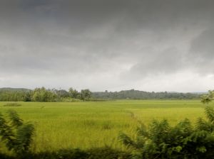 Monsoon rains: nine K-P districts declared sensitive - Vimarsana News