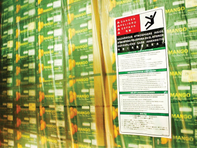 usaid to support market linkages for mango growers usaid to support market linkages for mango growers