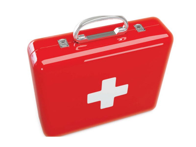 medical care conference on health reforms begins today