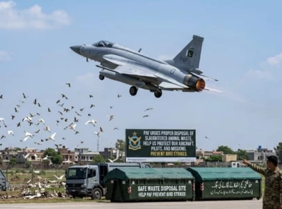 protecting our skies this eidul azha protecting our skies this eidul azha