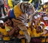 tiger supporters celebrate victory for colombia s far right