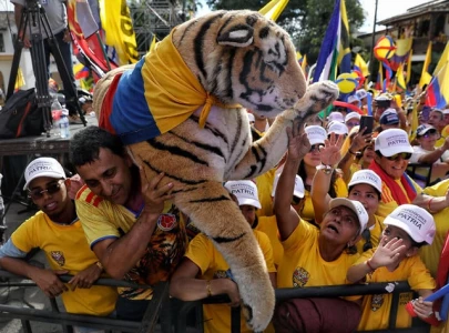 tiger supporters celebrate victory for colombia s far right tiger supporters celebrate victory for colombia s far right