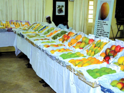 fruit exporters to respond to disease pest concerns