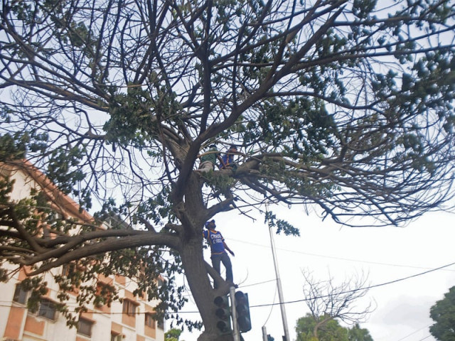 rescue workers climb a tree at the blast site to collect pieces of bodies and other evidence photo mohammad saqib express rescue workers climb a tree at the blast site to collect pieces of bodies and other evidence photo mohammad saqib express
