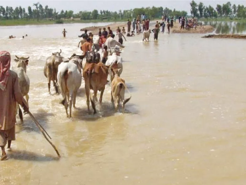 flood affected residents of a submerged village carry their belongings and livestock after the flood in 2012 photo file flood affected residents of a submerged village carry their belongings and livestock after the flood in 2012 photo file
