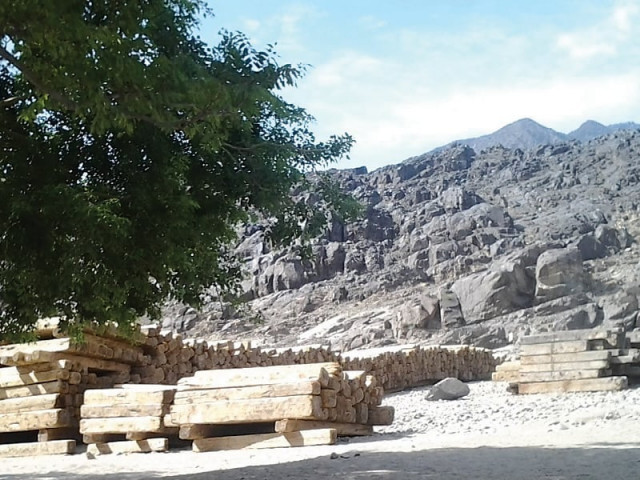 the policy withdrawn by the pml n government allowed the transport and sale of four million cubic feet of legally and illegally chopped timber in diamer valley photo shabbir mir express