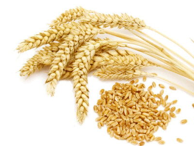 agriculture need to educate farmers in new practices discussed agriculture need to educate farmers in new practices discussed