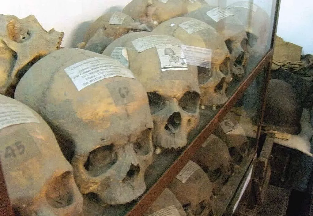 human skulls photo file human skulls photo file
