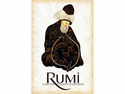 rumi revisited tales of love envy and surrender