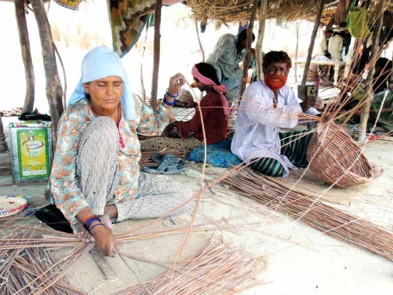 nomadic families make around 35 baskets every day which sells from rs50 to rs90 depending on size and quality around 40 kg of straws make 25 baskets and cost rs1 000 photo sarfaraz memon express