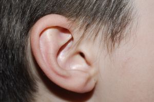 maggots in human ear photo file