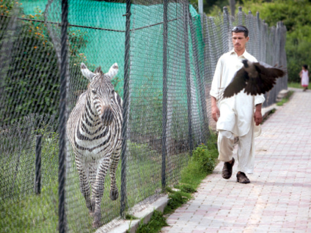 many of the zoo s facilities have seen better days photo myra iqbal many of the zoo s facilities have seen better days photo myra iqbal