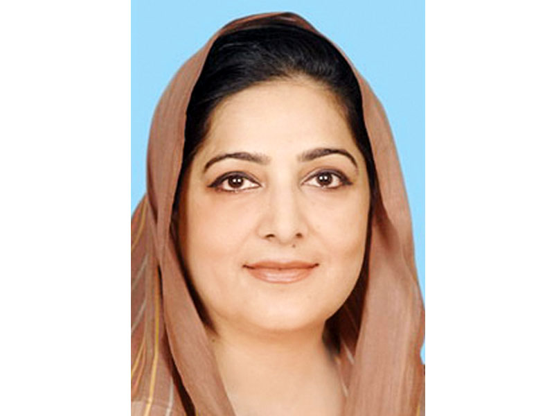 it minister anusha rahman photo file