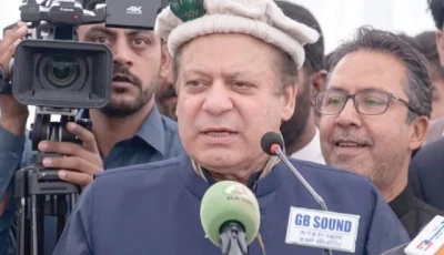 pml n president nawaz sharif addresses a public gathering in gilgit baltistan photo screengrab pml n president nawaz sharif addresses a public gathering in gilgit baltistan photo screengrab