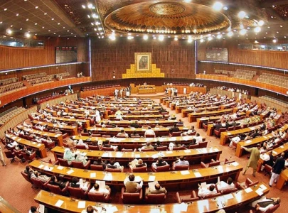 verbal slugfest breaks out in na budget debate