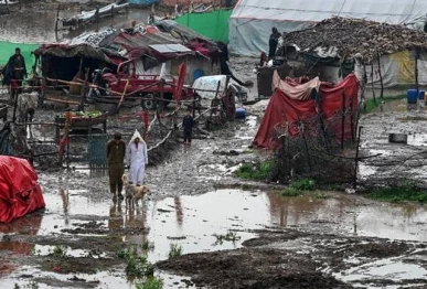 four dead as monsoon lashes northwest