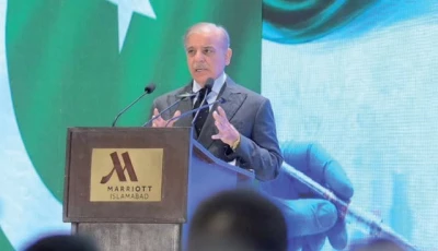 pm assures chinese investors of security pm assures chinese investors of security