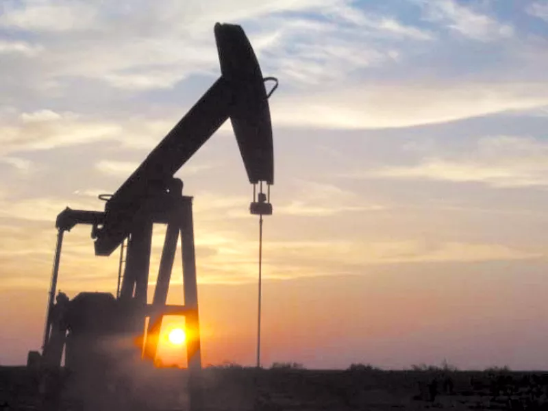 raza further informed that an italian company with expertise in the field is interested to work on the project photo file raza further informed that an italian company with expertise in the field is interested to work on the project photo file