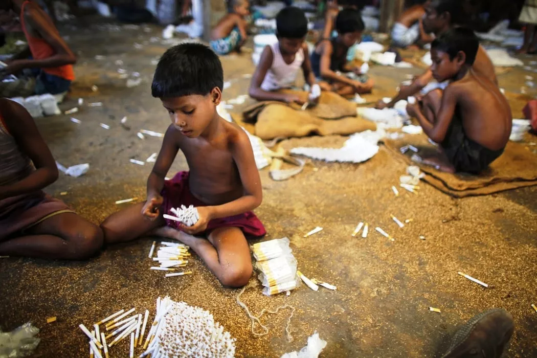 children fill up empty cigarettes manually with locally grown tobacco in a small bidi cigarette factory at haragach in rangpur district bangladesh july 11 2013 photo reuters children fill up empty cigarettes manually with locally grown tobacco in a small bidi cigarette factory at haragach in rangpur district bangladesh july 11 2013 photo reuters