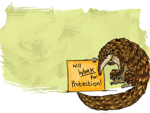 hunters go after the scaly anteaters without concern as the wildlife department looks on illustration jamal khurshid hunters go after the scaly anteaters without concern as the wildlife department looks on illustration jamal khurshid