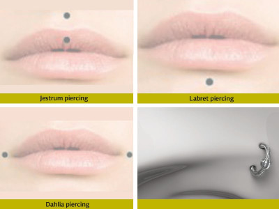 piercing stiff upper lip piercing stiff upper lip