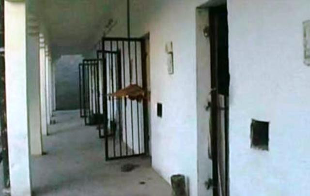 prisoners geared for escape as soon as they heard the first gunshot photo reuters prisoners geared for escape as soon as they heard the first gunshot photo reuters