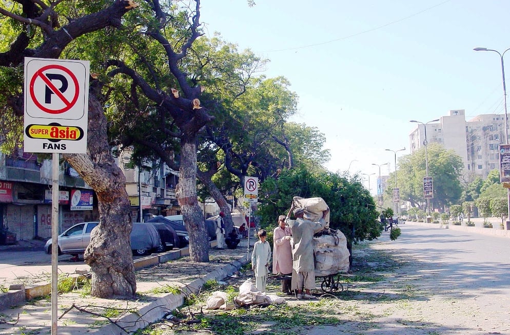 people collecting chopped branches of trees photo ppi