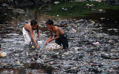 rain hit sewage water in the sea caused fish deaths rain hit sewage water in the sea caused fish deaths